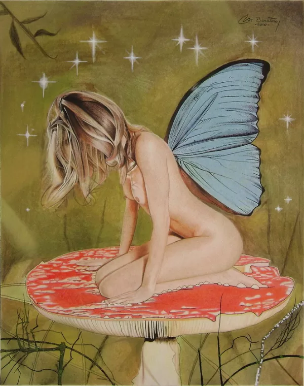 Mariposa 2