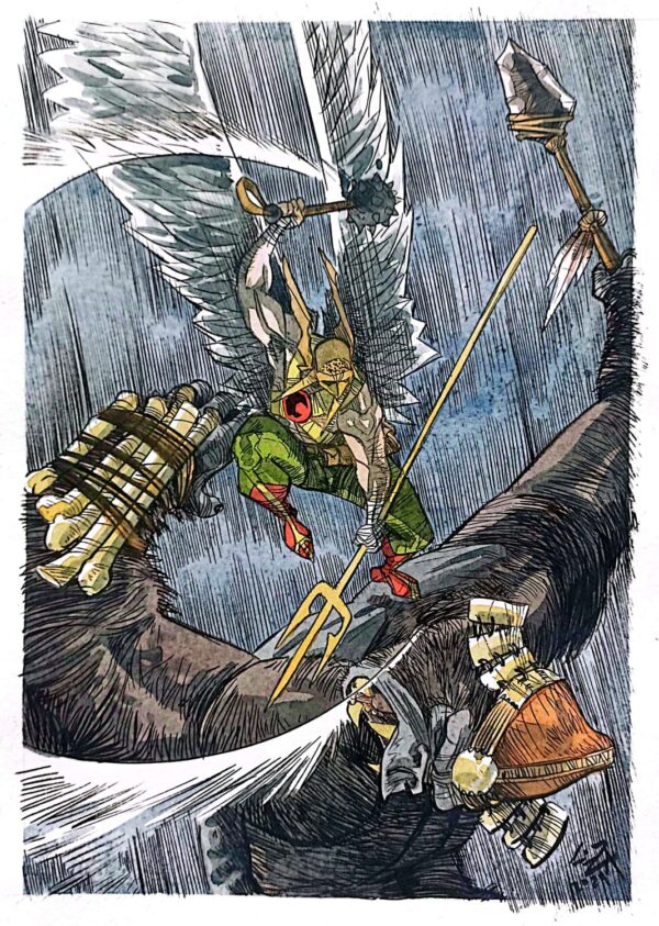 Silver Hawk fight