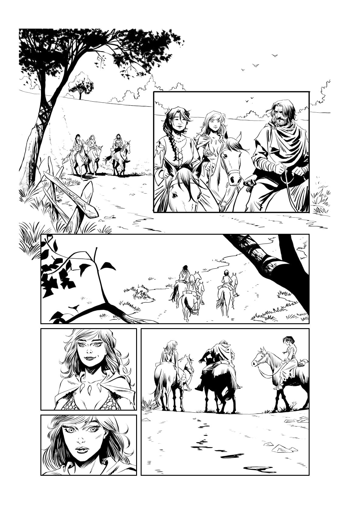 Red Sonja issue 1, page 11 - ARTIST PROOF