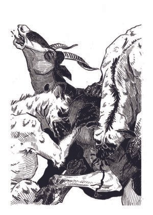 Las Locas page 8